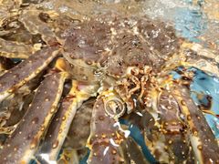 -食鼎记海鲜大排档(美食街店)