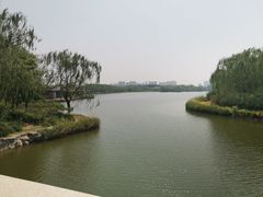 -大兴滨河森林公园