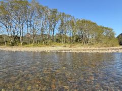 -九曲溪竹筏码头