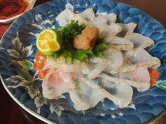 比目鱼刺身-加奈日本料理