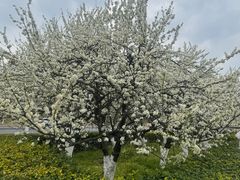 -万达茂商场(南京仙林店)