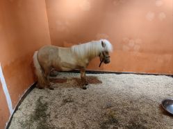 -Zoolung Zoolung动物主题公园(海信广场店)