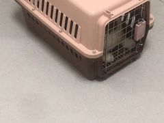 -谐和益家动物医院·免疫绝育·血液透析·宠保定点医院(高新伊藤分院)