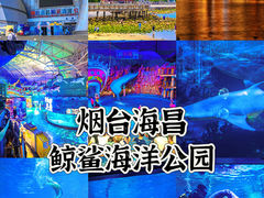 -烟台海昌鲸鲨海洋公园