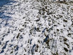 -中国人民抗日战争纪念雕塑园