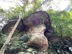 -赤水丹霞旅游区·佛光岩