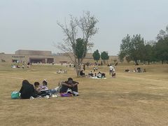 -盘龙城国家考古遗址公园