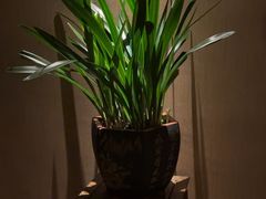 -足本纪·足道 SPA 简餐 小吃(文三西路店)