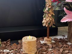 -蝶舍·MAISON PAPILLON