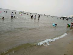 -碧海金沙