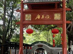 -侨美·唐荔园·40年地道粤菜