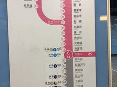 -大龙山(地铁站)