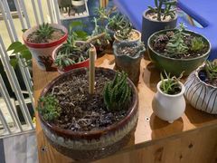 -SAH健身私教工作室(紫东店)