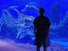 -哈尔滨波塞冬海底世界