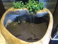 -四海酒家生态粤菜