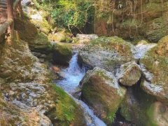 -青城山
