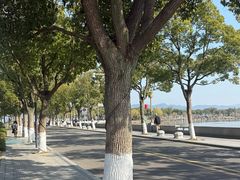 -晓琦农家菜馆·地道农家菜