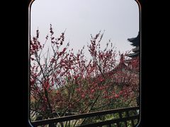 -杭州半山国家森林公园