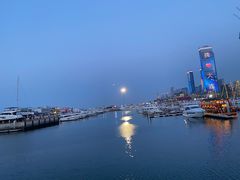 -东港音乐喷泉广场