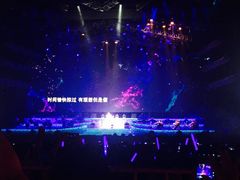 -南京奥林匹克体育中心-体育馆