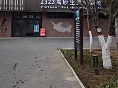 -青藏高原野生动物园