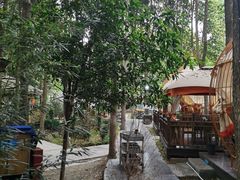 大堂-二荆条·蜀鲜汇城市森林火锅
