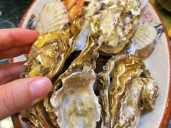 -宾朋海鲜饭庄(兴海路店)