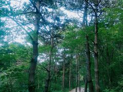 -燕塞湖鸟语林景区