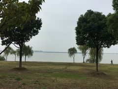 -漕湖湿地公园