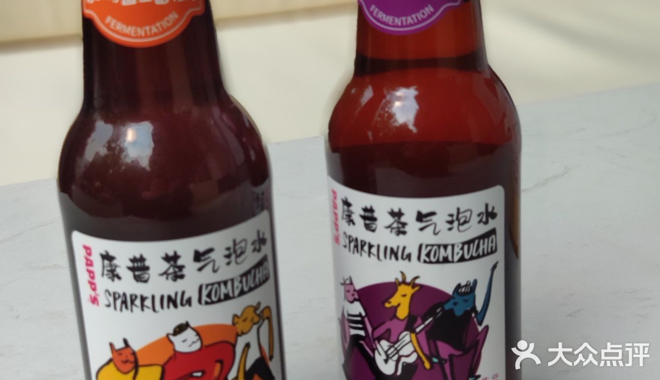 康普茶汽泡水新型自发酵气泡饮料