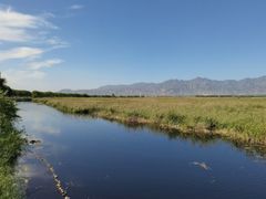 -野鸭湖国家湿地公园