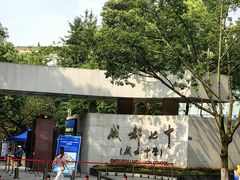 -成都七中(林荫校区)