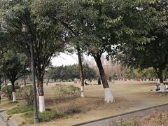 -成都南湖公园