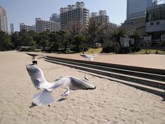 -台场海滨公园船码头