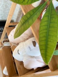 -JNK皮肤管理中心