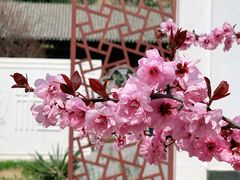 -国家植物园