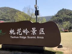 -桃花岭景区