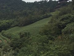 -敬亭山风景名胜区