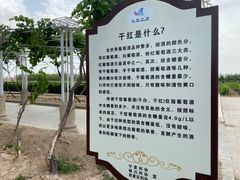 -龙谕酒庄
