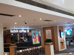 -成都绿洲大酒店(春熙路太古里店)