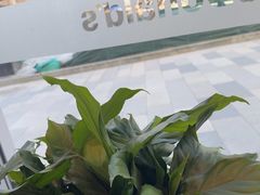 -麦当劳(北苑秋实路店)