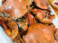 -南蚝小贝海鲜特色餐厅(南澳岛店)