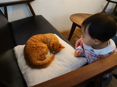 -知亘茶食