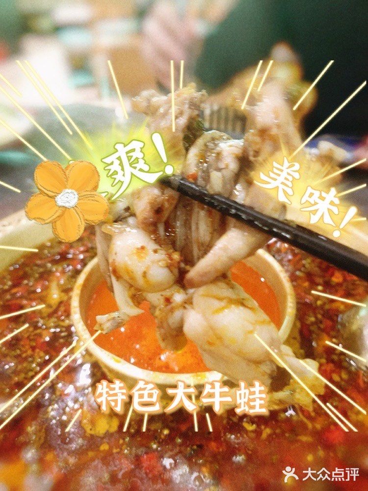 蛙蛙爱好者的聚集地，你会来吗？