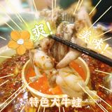 蛙蛙爱好者的聚集地，你会来吗？