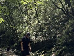 -牛背梁国家森林公园