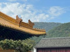 -普陀山风景名胜区-法雨禅寺