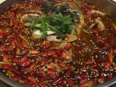 美蛙-味之绝热血美蛙鱼火锅(中坝店)