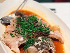 -南麓·浙里(外滩店)