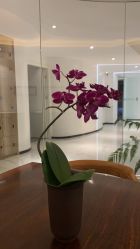 -AiCure 埃可儿·韩国医学皮肤管理